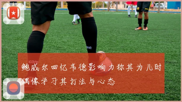 鲍威尔回忆韦德影响力称其为儿时偶像学习其打法与心态