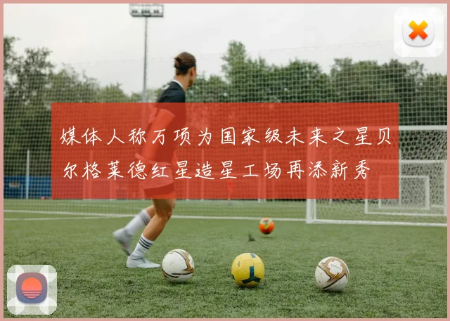 媒体人称万项为国家级未来之星贝尔格莱德红星造星工场再添新秀