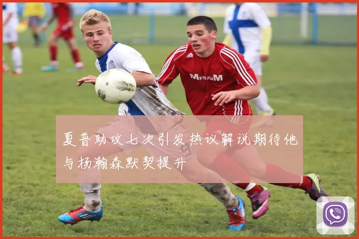 夏普助攻七次引发热议解说期待他与杨瀚森默契提升