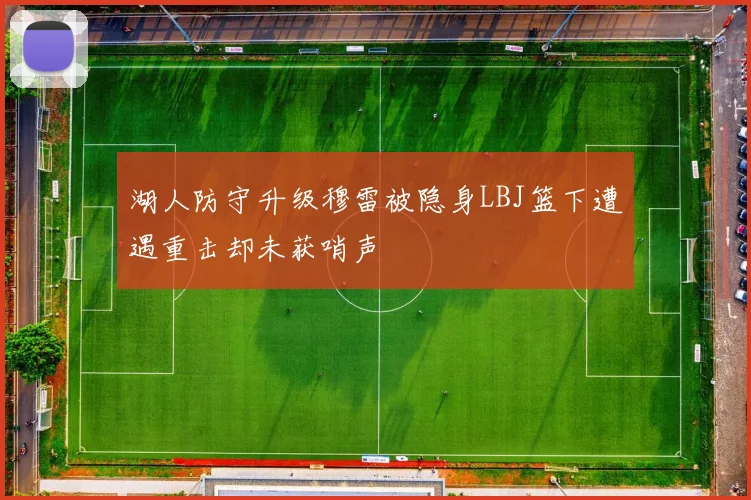 湖人防守升级穆雷被隐身LBJ篮下遭遇重击却未获哨声